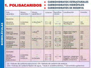 1. POLISACARIDOS
BIOMOLÉCULAS CARBOHIDRATOS ESTRUCTURALES
CARBOHIDRATOS HIDRÓFILOS
CARBOHIDRATOS DE RESERVA
 