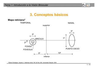1 - 10
Tema 1: Introducción a la Visión Binocular
3. Conceptos básicos
Mapa retiniano3
TEMPORAL NASAL
5º
5º
2º
7º
10º5º
MACULA
FOVEA
FOVEOLA
superior
inferior
PUNTO CIEGO
3Óptica Fisiológica. Viqueira. V. Martínez-Verdú, FM. De Fez, MD. Universitat d’Alacant. 2003.
 