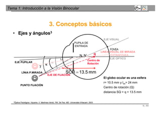 1 - 11
Tema 1: Introducción a la Visión Binocular
3. Conceptos básicos
• Ejes y ángulos3
El globo ocular es una esfera
r= 10.5 mm y lax= 24 mm
Centro de rotación (Q)
distancia SQ = q = 13.5 mm
N N’
FOVEA

PUNTO FIJACIÓN
LÍNIA P.MIRADA
EJE PUPILAR
EJE VISUAL
EJE OPTICO

PUPILA DE
ENTRADA
EJE DE FIJACIÓN
Centro de
Rotación
q
γ
mm5.13SCR 
EXTRAFOVEA
LINEA VISUAL DE MIRADA
3Óptica Fisiológica. Viqueira. V. Martínez-Verdú, FM. De Fez, MD. Universitat d’Alacant. 2003.
 