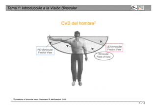 1 - 14
Tema 1: Introducción a la Visión Binocular
CVB del hombre2
2Fundations of binocular vison. Steinmann B. MaGraw-Hill. 2000
 
