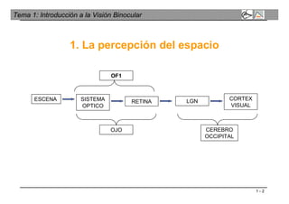 1 - 2
Tema 1: Introducción a la Visión Binocular
1. La percepción del espacio
ESCENA SISTEMA
OPTICO
RETINA LGN CORTEX
VISUAL
OJO CEREBRO
OCCIPITAL
OF1
 