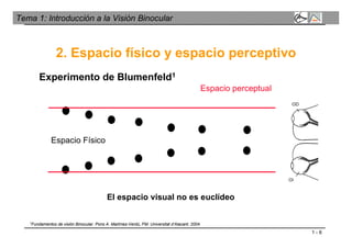 1 - 6
Tema 1: Introducción a la Visión Binocular
Experimento de Blumenfeld1
2. Espacio físico y espacio perceptivo
Espacio perceptual
Espacio Físico
El espacio visual no es euclídeo
1Fundamentos de visión Binocular. Pons A. Martínez-Verdú, FM. Universitat d’Alacant. 2004.
 