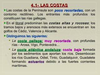 4.1- LAS COSTAS4.1- LAS COSTAS
►Las costas de la Península son poco recortadaspoco recortadas, con un
contorno rectilíneo. Los entrantes más profundos los
constituyen las rías gallegas.
►En el litoral predominan las costas altas y rocosas; los
tramos bajos y arenosos más extensos se encuentran en los
golfos de Cádiz, Valencia y Alicante.
►Distinguimos las siguientes:Distinguimos las siguientes:
 La costa gallega:costa gallega: muymuy recortadarecortada, con profundas
rías - Arosa, Vigo, Pontevedra…
 La costa atlántica andaluzacosta atlántica andaluza :: costacosta bajabaja formada
por los sedimentos que aportan los ríos. Desembocan
los ríos Guadiana, Odiel, Tinto, Guadalquivir, Guadalete
formando estuariosestuarios debido a las fuertes corrientes
marítimas.
 