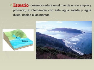 o EstuarioEstuario: desembocadura en el mar de un río amplio ydesembocadura en el mar de un río amplio y
profundo, e intercambia con éste agua salada y aguaprofundo, e intercambia con éste agua salada y agua
dulce, debido a las mareas.dulce, debido a las mareas.
 