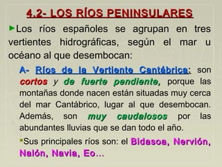 4.2- LOS RÍOS PENINSULARES4.2- LOS RÍOS PENINSULARES
►Los ríos españoles se agrupan en tres
vertientes hidrográficas, según el mar u
océano al que desembocan:
A-A- Ríos de la Vertiente CantábricaRíos de la Vertiente Cantábrica: son
cortoscortos y de fuerte pendiente,de fuerte pendiente, porque las
montañas donde nacen están situadas muy cerca
del mar Cantábrico, lugar al que desembocan.
Además, son muy caudalososmuy caudalosos por las
abundantes lluvias que se dan todo el año.
Sus principales ríos son: el Bidasoa, Nervión,Bidasoa, Nervión,
Nalón, Navia, EoNalón, Navia, Eo ……
 