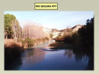 RÍO SEGURA PPTRÍO SEGURA PPT
 