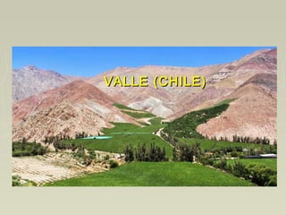 VALLE (CHILE)VALLE (CHILE)
 