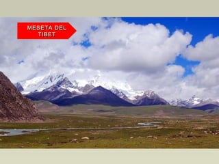MESETA DELMESETA DEL
TIBETTIBET
 