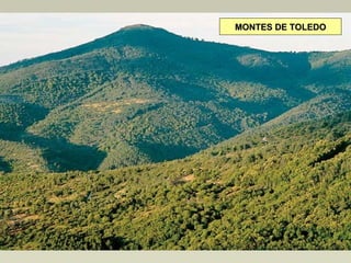 MONTES DE TOLEDOMONTES DE TOLEDO
 