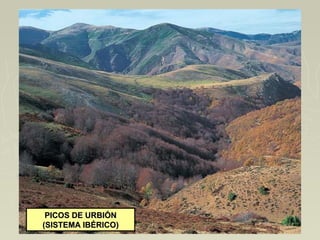 PICOS DE URBIÓNPICOS DE URBIÓN
(SISTEMA IBÉRICO)(SISTEMA IBÉRICO)
 