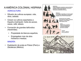 A AMÉRICA COLONIAL HISPANA
    AGRICULTURA:
●   Difusión de cultivos europeos: vide,
    oliva, cebada.
●   Crecen os cultivos exportados a
    España (metrópoli): Caña de azúcar,
    cacao, café, tabaco.
●   Formación de grandes latifundios
    (haciendas).
     ●   Propiedade de blancos españois.
     ●   Empregaban man de obra
         indíxena e mestiza.
    MINERÍA
●   Explotación de prata en Potosí (Perú) e
    Zacatecas (México).
 