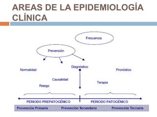 AREAS DE LA EPIDEMIOLOGÍA
CLÍNICA
 