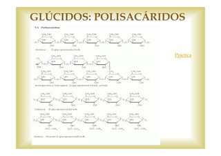 GLÚCIDOS: POLISACÁRIDOS 
Práctica 
 