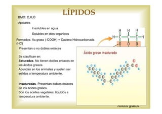 Formados: Ác.graso (-COOH) + Cadena Hidrocarbonada 
(HC) 
Glicerina 
Se clasifican en: 
Saturadas. No tienen dobles enlaces en 
los ácidos grasos. 
Abundan en los animales y suelen ser 
sólidas a temperatura ambiente. 
Insaturadas. Presentan dobles enlaces 
en los ácidos grasos. 
Son los aceites vegetales, líquidos a 
temperatura ambiente. 
Ácidos grasos 
Enlaces 
tipo éster 
LÍPIDOS 
BMO: C,H,O 
Apolares 
Insolubles en agua 
Solubles en dtes orgánicos 
Presentan o no dobles enlaces 
 