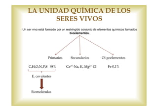 LA UNIDAD QUÍMICA DE LOS 
SERES VIVOS 
Un ser vivo está formado por un restringido conjunto de elementos químicos llamados 
bioelementos. 
Primarios Secundarios 
Oligoelementos 
C,H,O,N,P,S 98% 
E. covalentes 
Biomoléculas 
Ca2+, Na, K, Mg2+, Cl- Fe 0,1% 
 