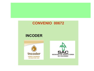 CONVENIO 00672
INCODER
 