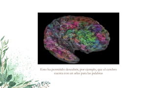 Esto ha permitido descubrir, por ejemplo, que el cerebro
cuenta con un atlas para las palabras
 