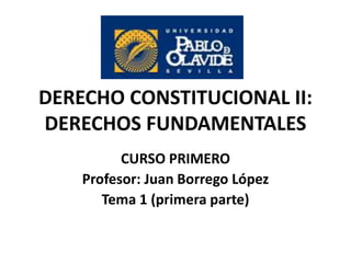 DERECHO CONSTITUCIONAL II:
DERECHOS FUNDAMENTALES
CURSO PRIMERO
Profesor: Juan Borrego López
Tema 1 (primera parte)
 