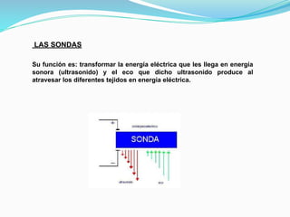 LAS SONDAS
Su función es: transformar la energía eléctrica que les llega en energía
sonora (ultrasonido) y el eco que dicho ultrasonido produce al
atravesar los diferentes tejidos en energía eléctrica.
 