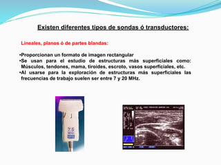 Existen diferentes tipos de sondas ó transductores:
Lineales, planos ó de partes blandas:
•Proporcionan un formato de imagen rectangular
•Se usan para el estudio de estructuras más superficiales como:
Músculos, tendones, mama, tiroides, escroto, vasos superficiales, etc.
•Al usarse para la exploración de estructuras más superficiales las
frecuencias de trabajo suelen ser entre 7 y 20 MHz.
 