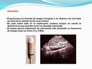 Sectoriales
•Proporcionan un formato de imagen triangular o en abanico con una base
de inicio de la emisión de los ecos mínima.
•Se usan sobre todo en la exploración cardiaca aunque no exenta la
abdominal ya que permiten tener un abordaje intercostal.
•Al usarse para la exploración de estructuras más profundas su frecuencia
de trabajo suele ser entre 3.5 y 5 MHz.
 