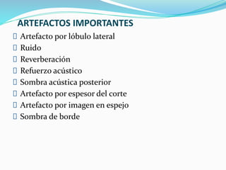 ARTEFACTOS IMPORTANTES
Artefacto por lóbulo lateral
Ruido
Reverberación
Refuerzo acústico
Sombra acústica posterior
Artefacto por espesor del corte
Artefacto por imagen en espejo
Sombra de borde
 