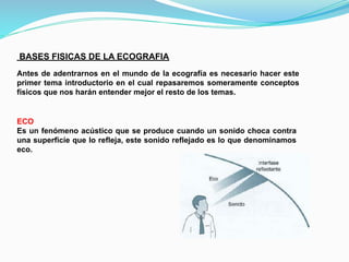 BASES FISICAS DE LA ECOGRAFIA
Antes de adentrarnos en el mundo de la ecografía es necesario hacer este
primer tema introductorio en el cual repasaremos someramente conceptos
físicos que nos harán entender mejor el resto de los temas.
ECO
Es un fenómeno acústico que se produce cuando un sonido choca contra
una superficie que lo refleja, este sonido reflejado es lo que denominamos
eco.
 