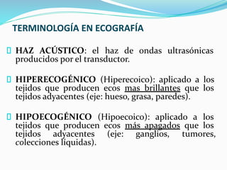 TERMINOLOGÍA EN ECOGRAFÍA
HAZ ACÚSTICO: el haz de ondas ultrasónicas
producidos por el transductor.
HIPERECOGÉNICO (Hiperecoico): aplicado a los
tejidos que producen ecos mas brillantes que los
tejidos adyacentes (eje: hueso, grasa, paredes).
HIPOECOGÉNICO (Hipoecoico): aplicado a los
tejidos que producen ecos más apagados que los
tejidos adyacentes (eje: ganglios, tumores,
colecciones líquidas).
 