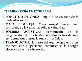TERMINOLOGÍA EN ECOGRAFÍA
LONGITUD DE ONDA: longitud de un ciclo de la
onda ultrasónica.
MASA COMPLEJA (Masa mixta): masa que
comprende a la vez zonas sólidas y líquidas.
SOMBRA ACÚSTICA: disminución de la
ecogenicidad de los tejidos situados detrás de una
estructura que atenúa la onda ultrasónica.
TRANSDUCTOR: la parte del equipo que entra en
contacto con el paciente, convirtiendo la energía
eléctrica en onda ultrasónica.
 