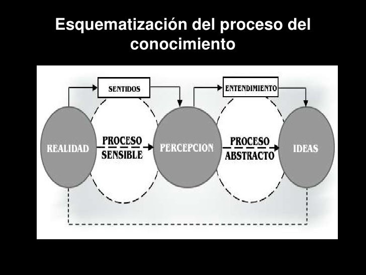 Tema 1 proceso del conocimiento