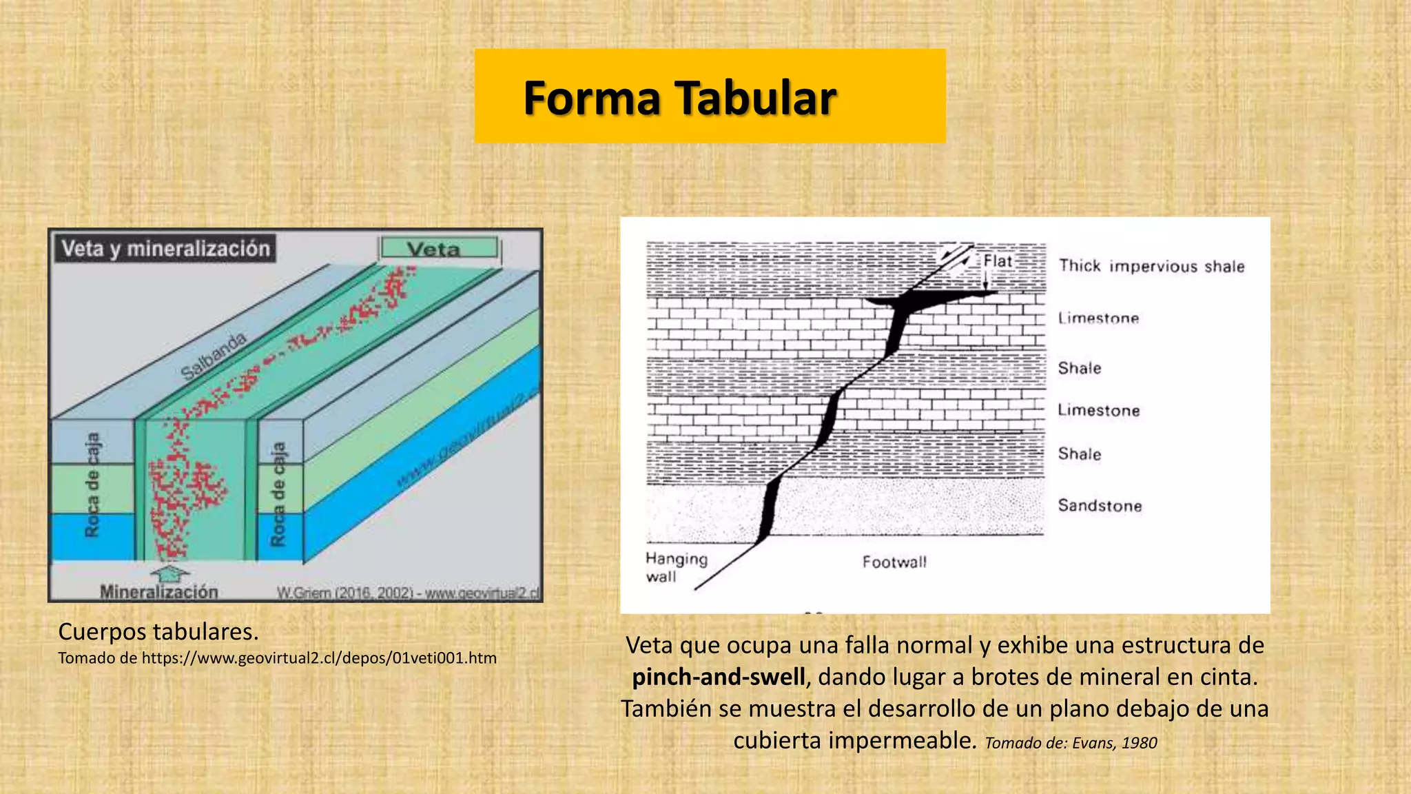 Cuerpos mineralizados discordantes de forma tabular y de forma ...