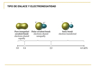 TIPO DE ENLACE Y ELECTRONEGATIDAD
 