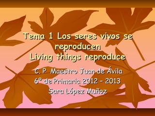 Tema 1 Los seres vivos se
        reproducen
 Living things reproduce
  C. P Maestro Juan de Ávila
  6º de Primaria 2012 – 2013
      Sara López Muñoz
 
