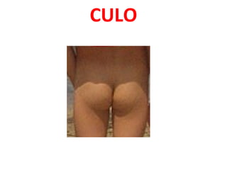 CULO

 