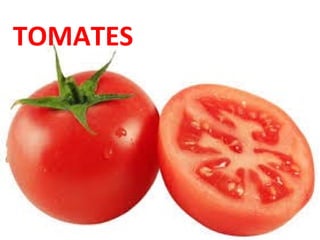 TOMATES

 