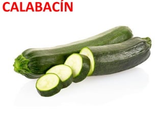 CALABACÍN

 
