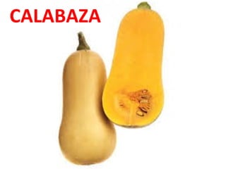 CALABAZA

 