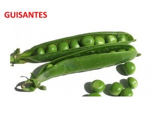 GUISANTES

 
