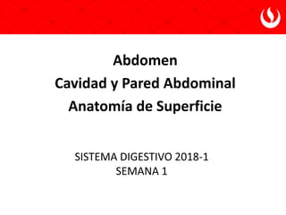 SISTEMA DIGESTIVO 2018-1
SEMANA 1
Abdomen
Cavidad y Pared Abdominal
Anatomía de Superficie
 