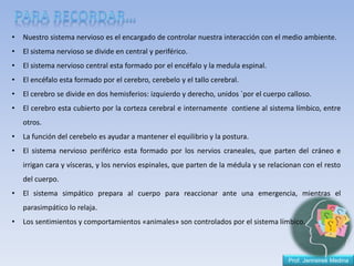 Prof. Jennsireé Medina
• Nuestro sistema nervioso es el encargado de controlar nuestra interacción con el medio ambiente.
• El sistema nervioso se divide en central y periférico.
• El sistema nervioso central esta formado por el encéfalo y la medula espinal.
• El encéfalo esta formado por el cerebro, cerebelo y el tallo cerebral.
• El cerebro se divide en dos hemisferios: izquierdo y derecho, unidos `por el cuerpo calloso.
• El cerebro esta cubierto por la corteza cerebral e internamente contiene al sistema límbico, entre
otros.
• La función del cerebelo es ayudar a mantener el equilibrio y la postura.
• El sistema nervioso periférico esta formado por los nervios craneales, que parten del cráneo e
irrigan cara y vísceras, y los nervios espinales, que parten de la médula y se relacionan con el resto
del cuerpo.
• El sistema simpático prepara al cuerpo para reaccionar ante una emergencia, mientras el
parasimpático lo relaja.
• Los sentimientos y comportamientos «animales» son controlados por el sistema límbico.
 