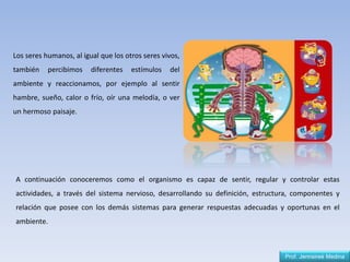 Los seres humanos, al igual que los otros seres vivos,
también percibimos diferentes estímulos del
ambiente y reaccionamos, por ejemplo al sentir
hambre, sueño, calor o frío, oír una melodía, o ver
un hermoso paisaje.
A continuación conoceremos como el organismo es capaz de sentir, regular y controlar estas
actividades, a través del sistema nervioso, desarrollando su definición, estructura, componentes y
relación que posee con los demás sistemas para generar respuestas adecuadas y oportunas en el
ambiente.
Prof. Jennsireé Medina
 