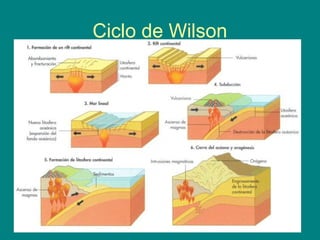 Ciclo de Wilson
 