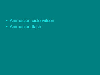 • Animación ciclo wilson
• Animación flash
 
