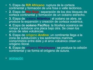 • 1. Etapa de Rift Africano: ruptura de la corteza
continental y formación de una fosa o valle tectónico.
• 2. Etapa de Mar Rojo: separación de los dos bloques de
corteza continental y formación de un océano estrecho.
• 3. Etapa de océano Atlántico: el océano se abre, se
produce la expansión y creación de corteza oceánica.
• 4. Etapa de océano Pacífico: la litosfera oceánica se
rompe y subduce una placa bajo otra. Se crean los
arcos de islas volcánicas.
• 5. Etapa de orógeno Andino: un continente llega a la
zona de subducción y los sedimentos marinos
comprimidos entre éste y el arco volcánico crean un
orógeno litoral.
• 6. Etapa de orógeno Himalayano: se produce la colisión
continental y se forma el orógeno de sutura.
• animación
 