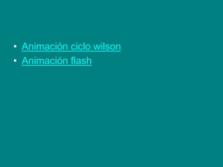 • Animación ciclo wilson
• Animación flash
 