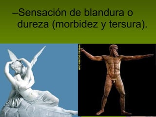 Sensación de blandura o dureza (morbidez y tersura). 