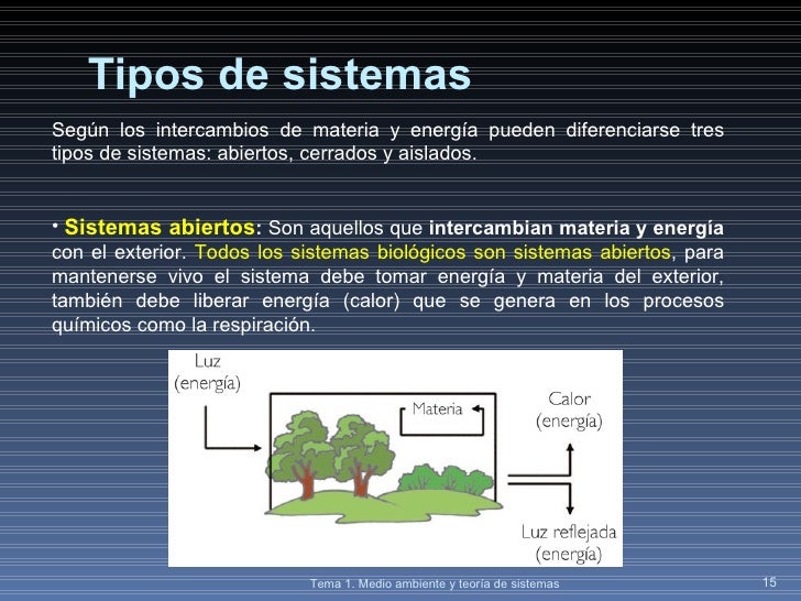 Sistema Que Intercambia Materia Y Energia Con El Entorno