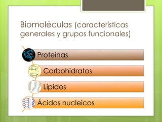 Biomoléculas (características
generales y grupos funcionales)

    Proteínas

      Carbohidratos

      Lípidos

    Ácidos nucleicos
 