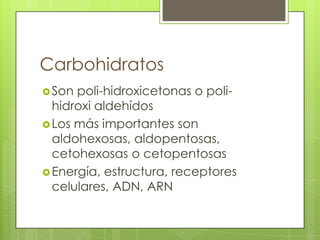 Carbohidratos
 Son poli-hidroxicetonas o poli-
  hidroxi aldehídos
 Los más importantes son
  aldohexosas, aldopentosas,
  cetohexosas o cetopentosas
 Energía, estructura, receptores
  celulares, ADN, ARN
 
