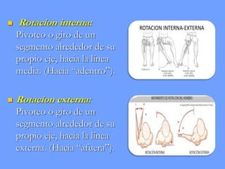 TEMA 1 TRAUMATOLOGIA Y ORTOPEDIA UDABOL[1].pdf